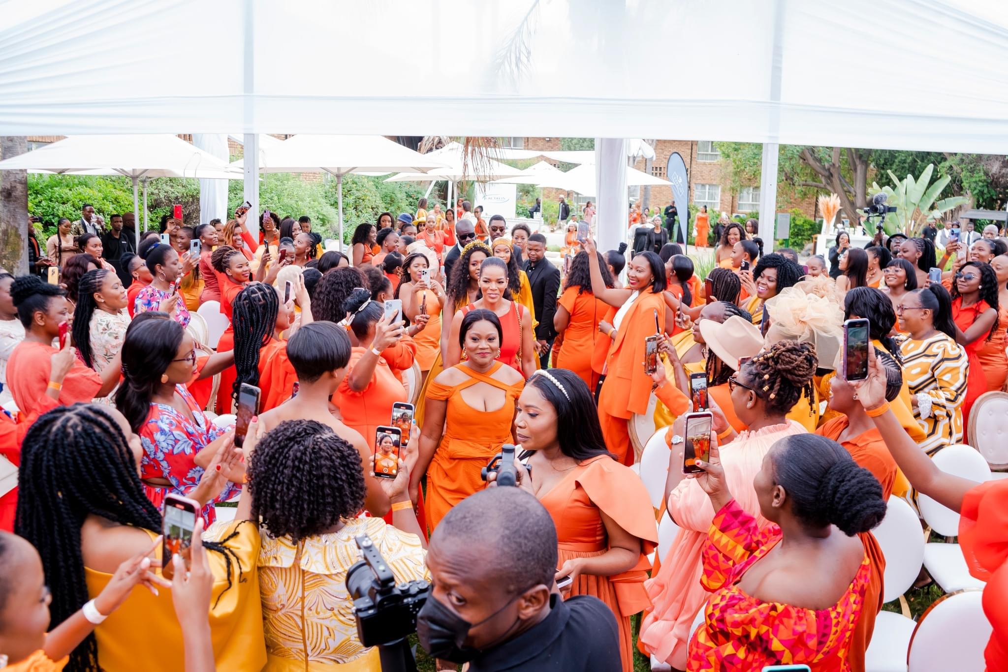 Success Stories Panel